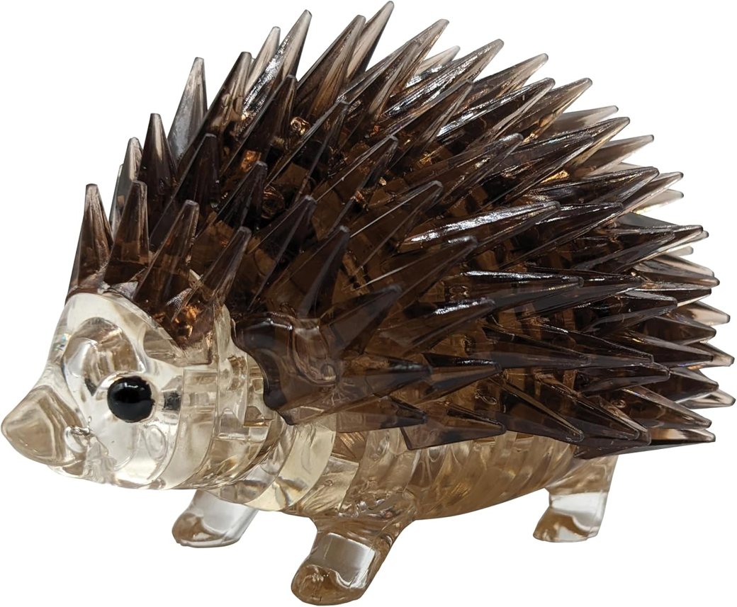 Brown Hedgehog view 3