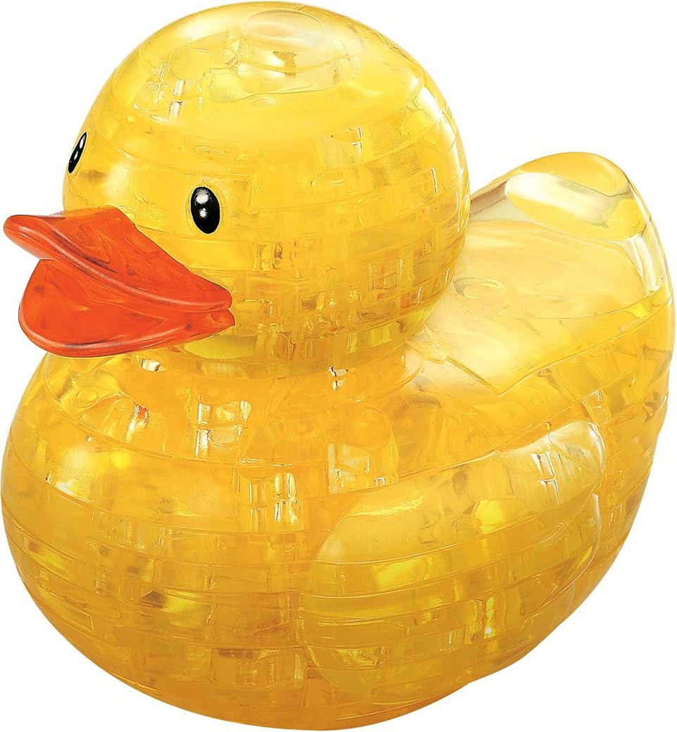 Duck view 3