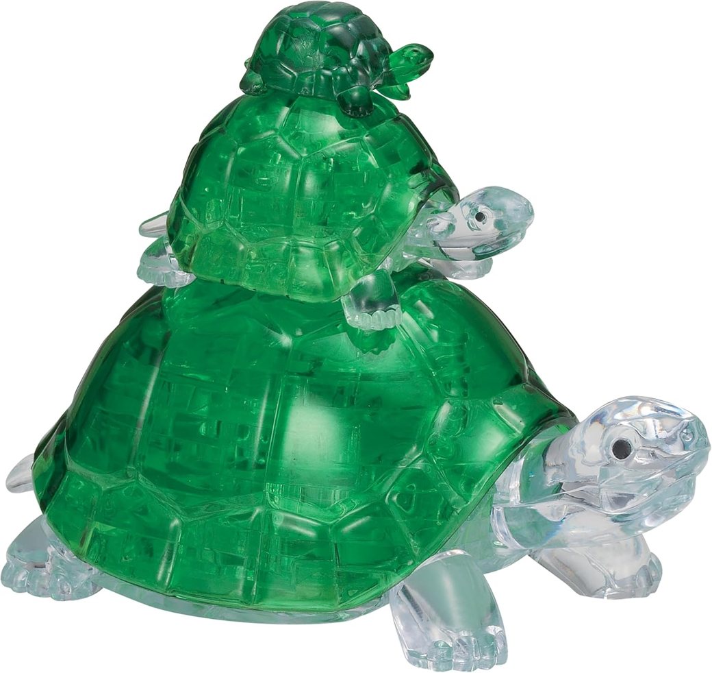 Turtles view 4